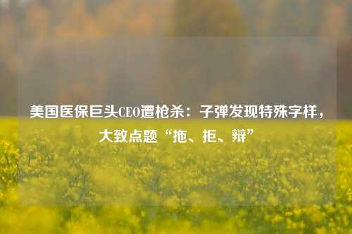 美国医保巨头CEO遭枪杀：子弹发现特殊字样，大致点题“拖、拒、辩”