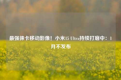 最强徕卡移动影像！小米15 Ultra持续打磨中：1月不发布