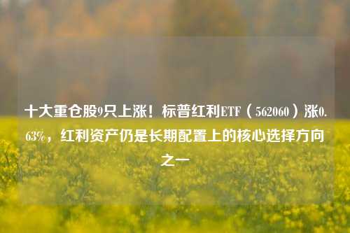 十大重仓股9只上涨！标普红利ETF（562060）涨0.63%，红利资产仍是长期配置上的核心选择方向之一