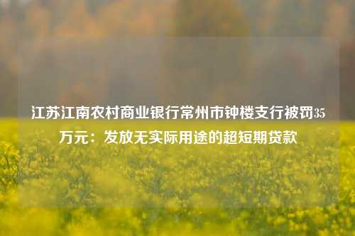 江苏江南农村商业银行常州市钟楼支行被罚35万元：发放无实际用途的超短期贷款