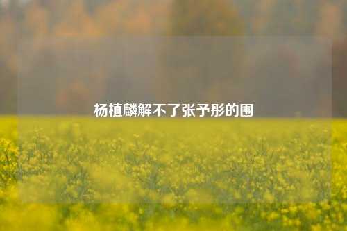 杨植麟解不了张予彤的围