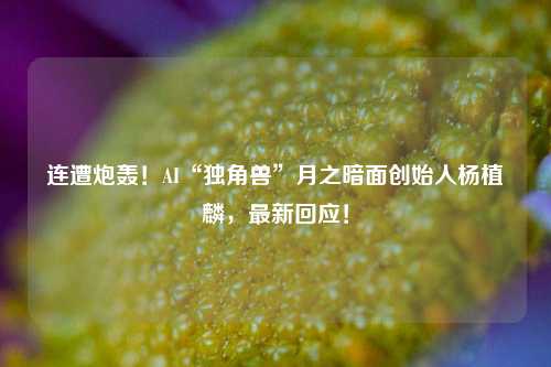 连遭炮轰！AI“独角兽”月之暗面创始人杨植麟，最新回应！