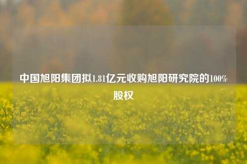 中国旭阳集团拟1.81亿元收购旭阳研究院的100%股权