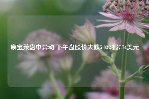 康宝莱盘中异动 下午盘股价大跌5.03%报7.74美元