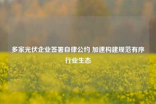 多家光伏企业签署自律公约 加速构建规范有序行业生态