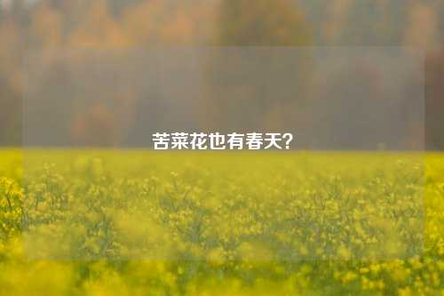 苦菜花也有春天？