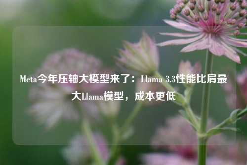 Meta今年压轴大模型来了：Llama 3.3性能比肩最大Llama模型，成本更低