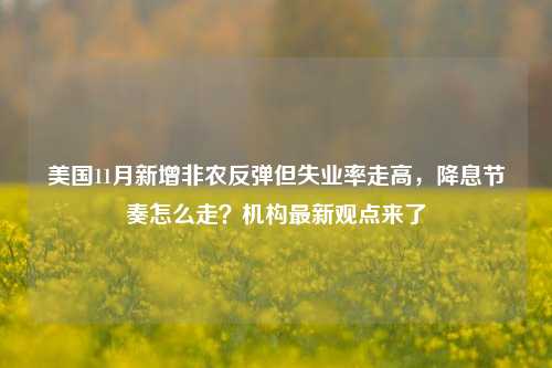 美国11月新增非农反弹但失业率走高，降息节奏怎么走？机构最新观点来了