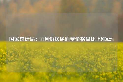 国家统计局：11月份居民消费价格同比上涨0.2%