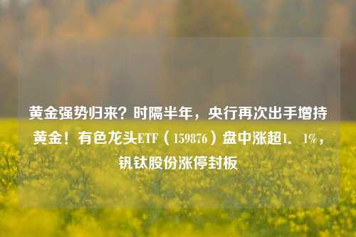 黄金强势归来？时隔半年，央行再次出手增持黄金！有色龙头ETF（159876）盘中涨超1．1%，钒钛股份涨停封板