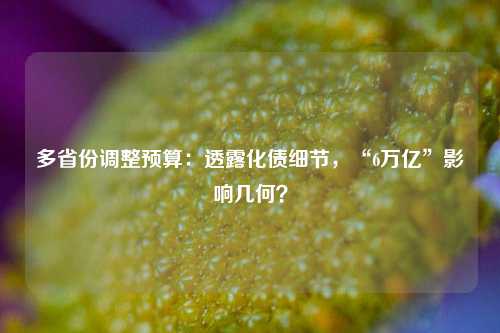 多省份调整预算：透露化债细节，“6万亿”影响几何？