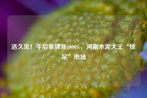 活久见！午后复牌涨1000%，河南水泥大王“惊呆”市场