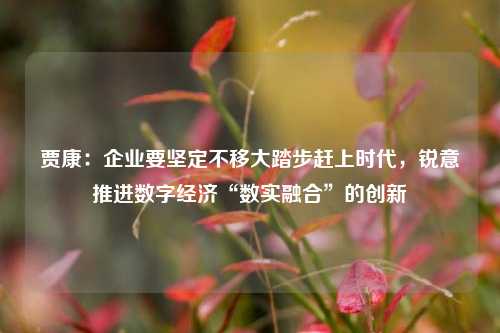 贾康：企业要坚定不移大踏步赶上时代，锐意推进数字经济“数实融合”的创新