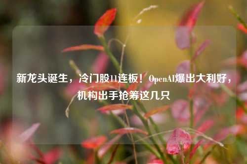 新龙头诞生，冷门股11连板！OpenAI爆出大利好，机构出手抢筹这几只