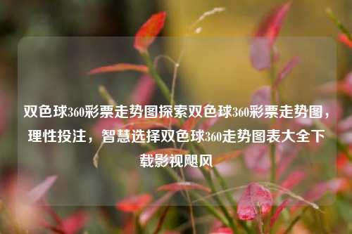 双色球360彩票走势图探索双色球360彩票走势图，理性投注，智慧选择双色球360走势图表大全下载影视飓风