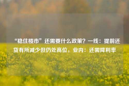 “稳住楼市”还需要什么政策？一线：提前还贷有所减少但仍处高位，业内：还需降利率