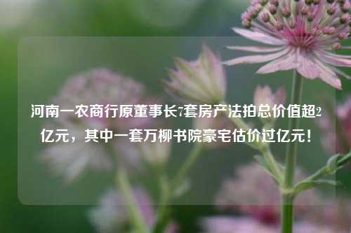 河南一农商行原董事长7套房产法拍总价值超2亿元，其中一套万柳书院豪宅估价过亿元！