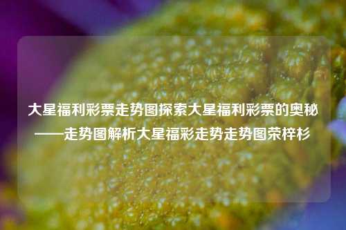 大星福利彩票走势图探索大星福利彩票的奥秘——走势图解析大星福彩走势走势图荣梓杉