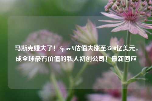 马斯克赚大了！SpaceX估值大涨至3500亿美元，成全球最有价值的私人初创公司！最新回应