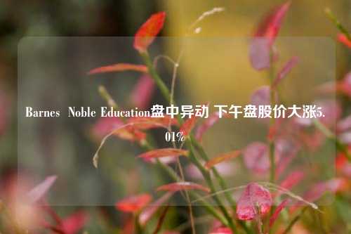 Barnes  Noble Education盘中异动 下午盘股价大涨5.01%