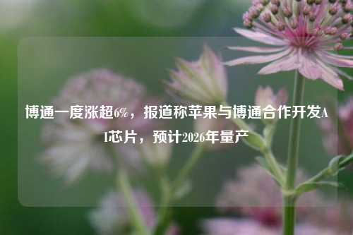 博通一度涨超6%，报道称苹果与博通合作开发AI芯片，预计2026年量产