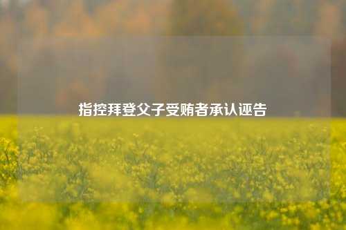 指控拜登父子受贿者承认诬告