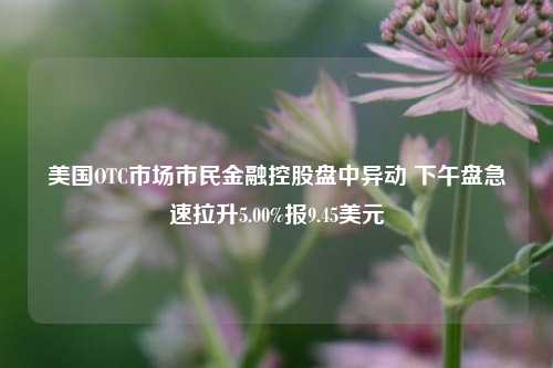 美国OTC市场市民金融控股盘中异动 下午盘急速拉升5.00%报9.45美元