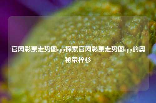 官网彩票走势图app探索官网彩票走势图app的奥秘荣梓杉