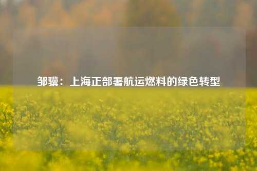 邹骥：上海正部署航运燃料的绿色转型