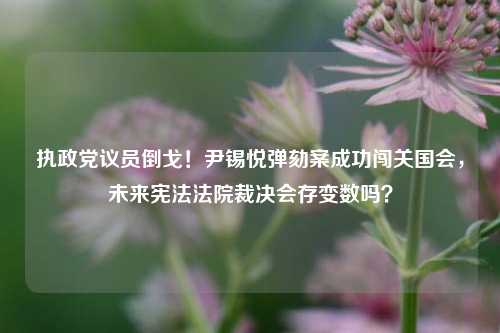 执政党议员倒戈！尹锡悦弹劾案成功闯关国会，未来宪法法院裁决会存变数吗？