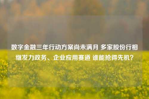 数字金融三年行动方案尚未满月 多家股份行相继发力政务、企业应用赛道 谁能抢得先机？