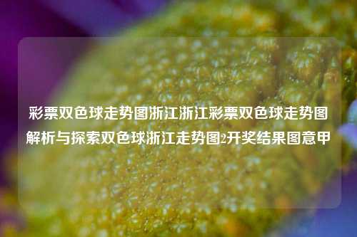 彩票双色球走势图浙江浙江彩票双色球走势图解析与探索双色球浙江走势图2开奖结果图意甲