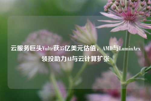 云服务巨头Vultr获35亿美元估值，AMD与LuminArx领投助力AI与云计算扩张