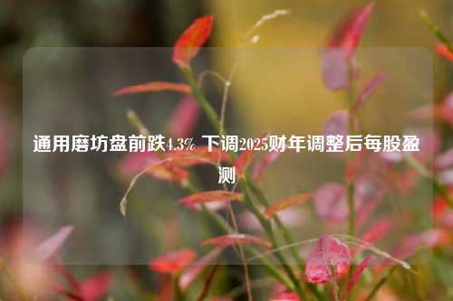 通用磨坊盘前跌4.3% 下调2025财年调整后每股盈测